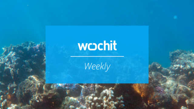 Azula Finds Success with Social Videos About the Ocean